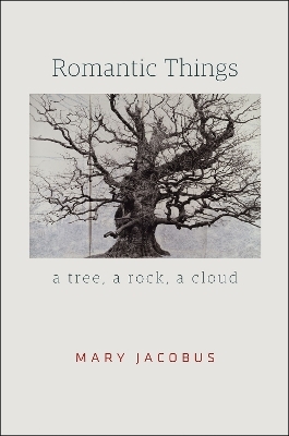 Romantic Things - Mary Jacobus