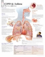 COPD & Asthma Paper Poster -  Scientific Publishing