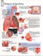 Effects of Smoking Paper Poster -  Scientific Publishing