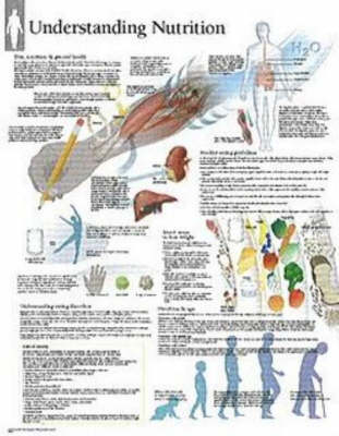 Understanding Nutrition Paper Poster -  Scientific Publishing