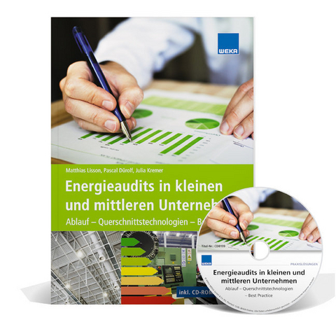 Energieaudit in kleinen und mittleren Unternehmen inkl. CD