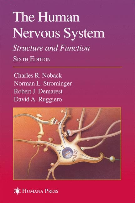 The Human Nervous System - 