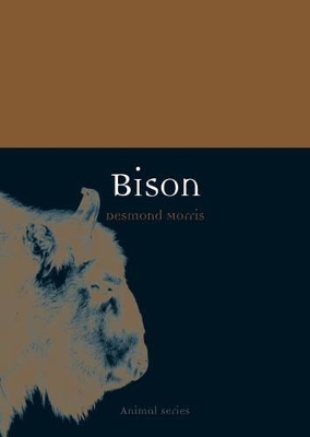 Bison - Desmond Morris