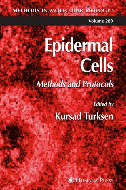 Epidermal Cells - 
