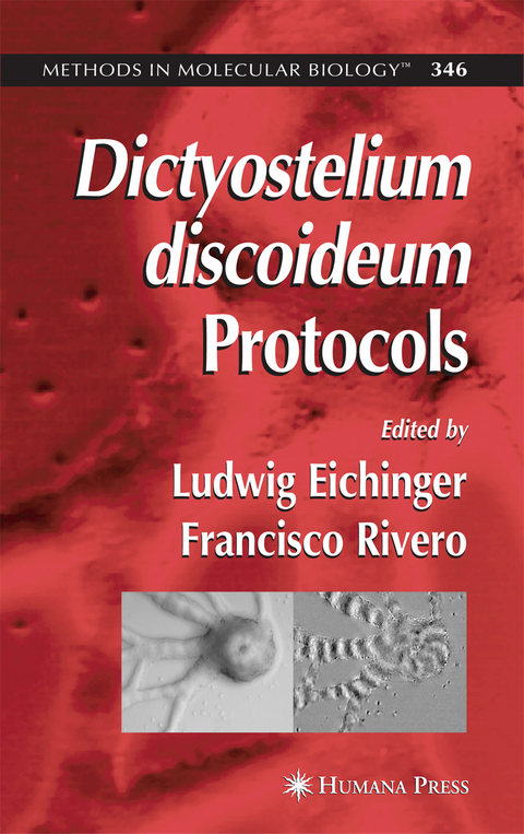 Dictyostelium discoideum Protocols - 