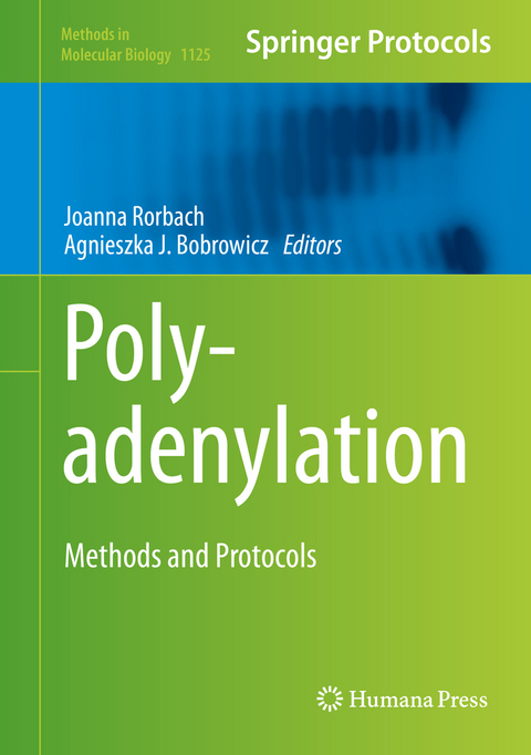 Polyadenylation - 
