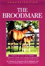 Understanding the Broodmare - Christine M. Schweizer