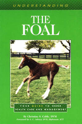 Understanding the Foal - Christina S. Cable