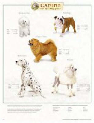 Canine Non-Sporting Group -  Anatomical Chart Company
