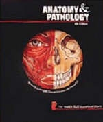 Anatomy and Pathology - 