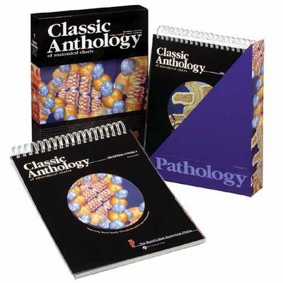 Classic Anthology of Anatomical Charts - 