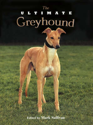The Ultimate Greyhound - Mark Sullivan