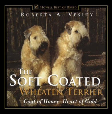 Soft Coated Wheaten Terrier - R.A. Vesley
