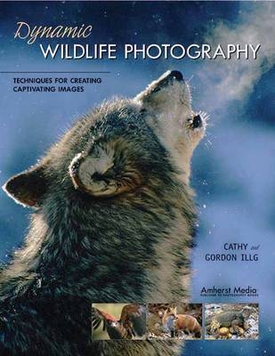 Dynamic Wildlife Photography - Cathy Illg, Gordon Illg