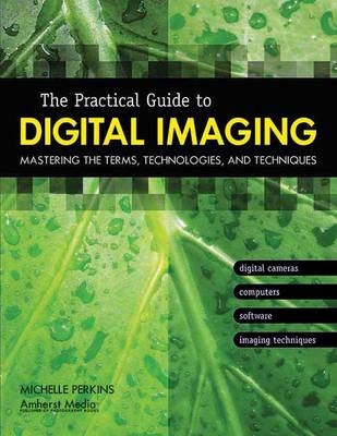 The Practical Guide To Digital Imaging - Michelle Perkins