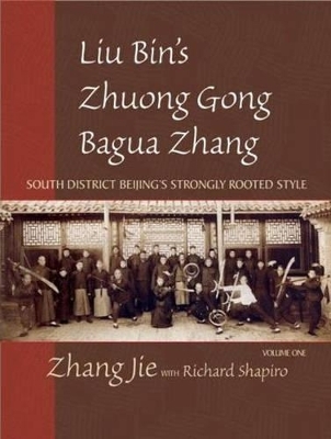 Liu Bin's Zhuang Gong Bagua Zhang, Volume One - Jie Zhang