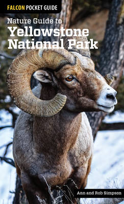 Nature Guide to Yellowstone National Park - Ann Simpson, Rob Simpson
