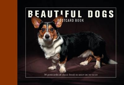 Beautiful Dogs Postcard Book - Andrew Perris