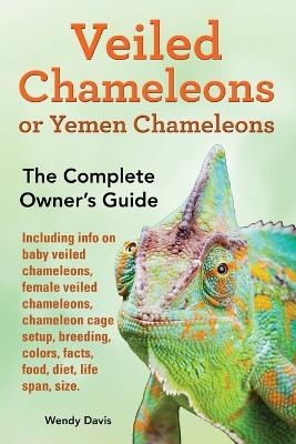 Veiled Chameleons or Yemen Chameleons as pets. info on baby veiled chameleons, female veiled chameleons, chameleon cage setup, breeding, colors, facts, food, diet, life span, size. - Wendy Davis