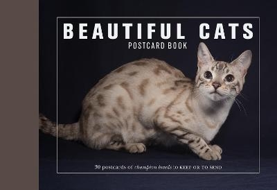 Beautiful Cats Postcard Book - Andrew Perris