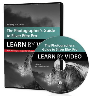 The Photographer's Guide to Silver Efex Pro - Sean Arbabi