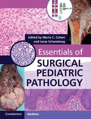 Essentials of Surgical Pediatric Pathology with DVD-ROM - 