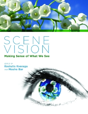 Scene Vision - 