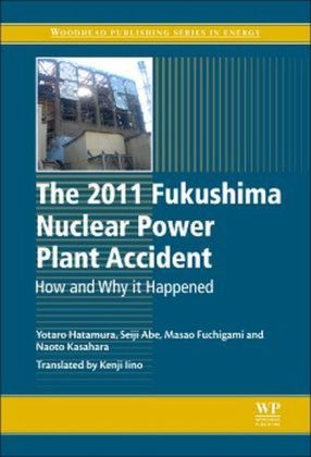 The 2011 Fukushima Nuclear Power Plant Accident - Yotaro Hatamura, Seiji Abe, Masao Fuchigami, Naoto Kasahara, Kenji Iino