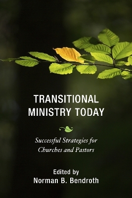 Transitional Ministry Today - 