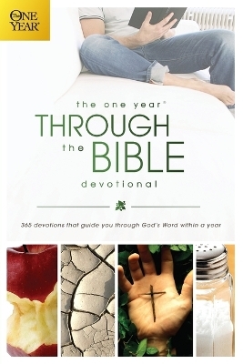 One Year Through the Bible Devotional - David R. Veerman
