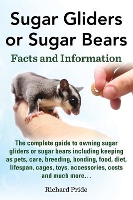 Sugar Gliders or Sugar Bears - Richard Pride