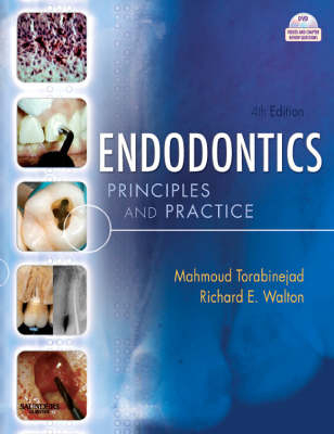 Endodontics - Mahmoud Torabinejad, Richard E. Walton