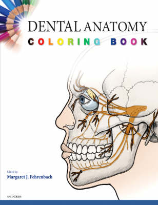 Dental Anatomy Coloring Book -  Saunders