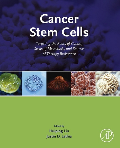 Cancer Stem Cells - 