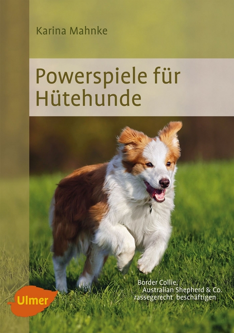 Powerspiele für Hütehunde - Karina Mahnke