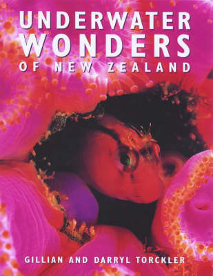 Underwater Wonders of New Zealand - Gillian Torckler, Darryl Torckler