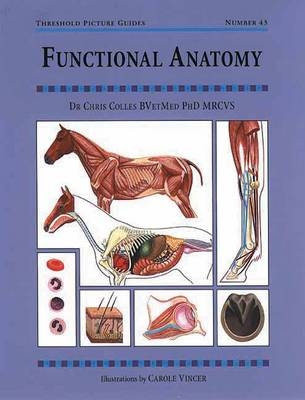 Functional Anatomy - Chris Colles