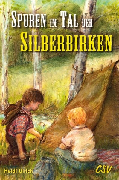 Spuren im Tal der Silberbirken - Heidi Ulrich