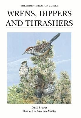 Wrens, Dippers and Thrashers - Mr David Brewer