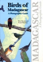Birds of Madagascar - Peter Morris, Frank Hawkins