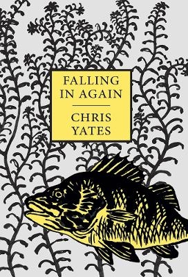 Falling in Again - Chris Yates