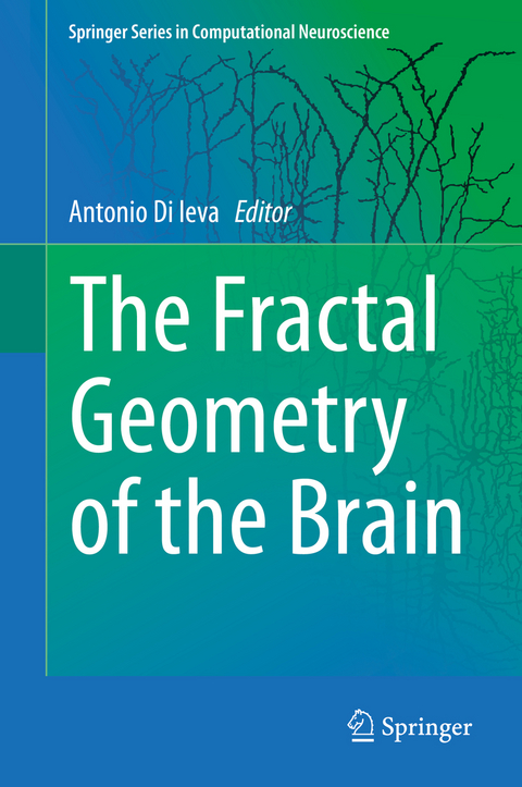 The Fractal Geometry of the Brain - 