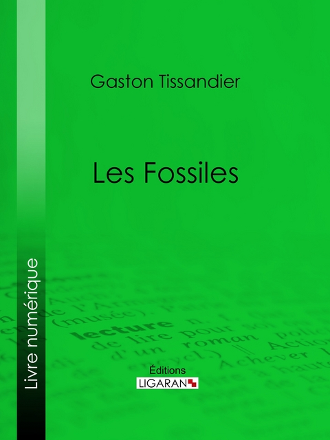 Les Fossiles -  Ligaran,  Gaston Tissandier