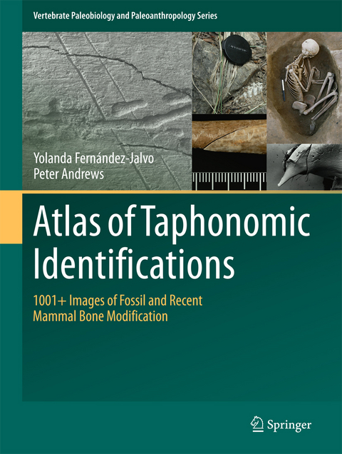 Atlas of Taphonomic Identifications -  Peter Andrews,  Yolanda Fernandez-Jalvo