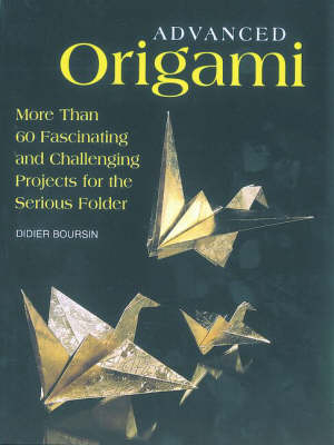 Advanced Origami - Didier Boursin