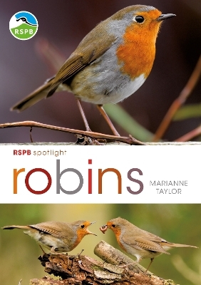 RSPB Spotlight: Robins - Marianne Taylor