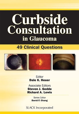 Curbside Consultation in Glaucoma - Dale K. Heuer, Steven J. Gedde, Richard Lewis