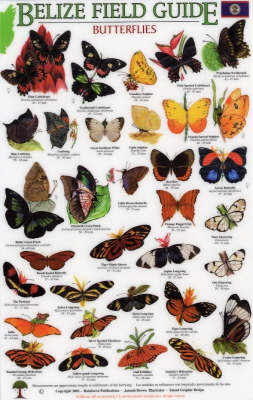 Butterflies - J. Brown