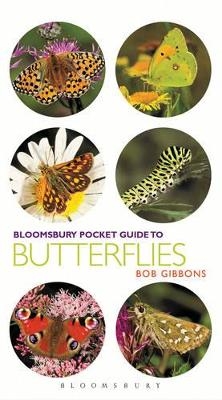 Pocket Guide to Butterflies - Bob Gibbons