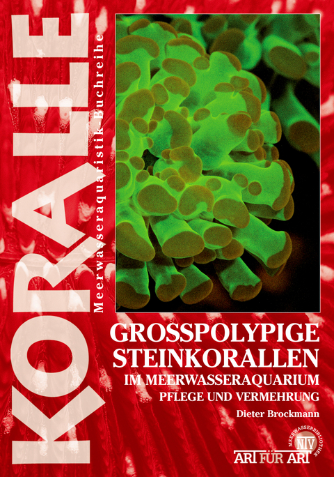 Grosspolypige Steinkorallen im Meerwasseraquarium - Dieter Brockmann